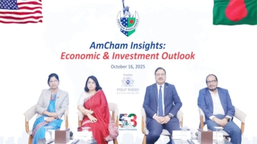 বিনিয়োগবান্ধব অর্থনীতি গঠনে জ্বালানি নিরাপত্তা জরুরি