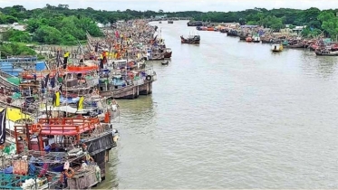 জ্বালানি সংকটে উপকূলে মাছ ধরা ব্যাহত, বাড়ছে দাম