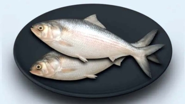 পয়লা বৈশাখকে সামনে রেখে ইলিশ ও সোনালি মুরগি চড়া